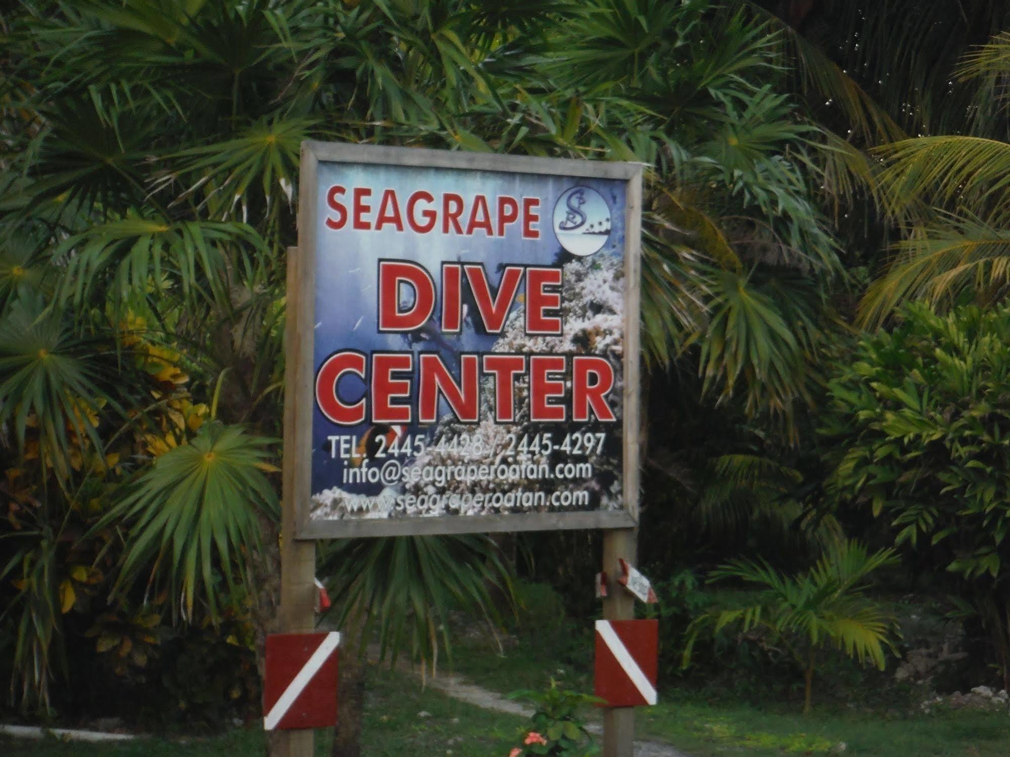 ويست ايند Seagrape Plantation Resort & Dive Center المظهر الخارجي الصورة